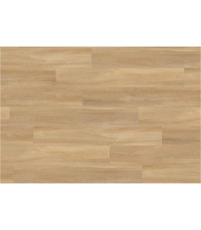 Lame PVC sol Creation 40 à coller Bostonian OAK Honey - 184 mm x 1219 mm