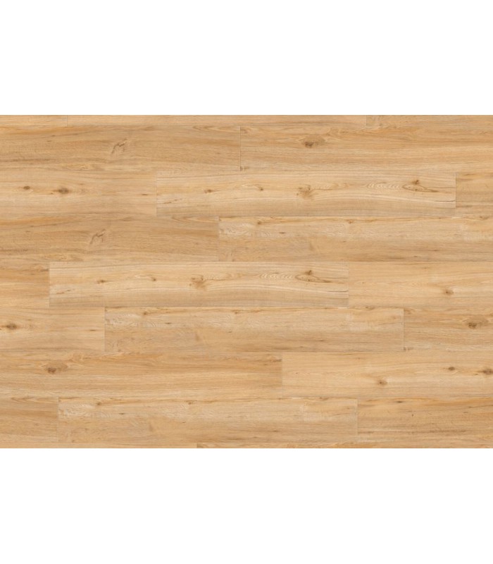 Lame PVC sol Creation 55 à coller - Ballerina - 184 mm x 1219 mm