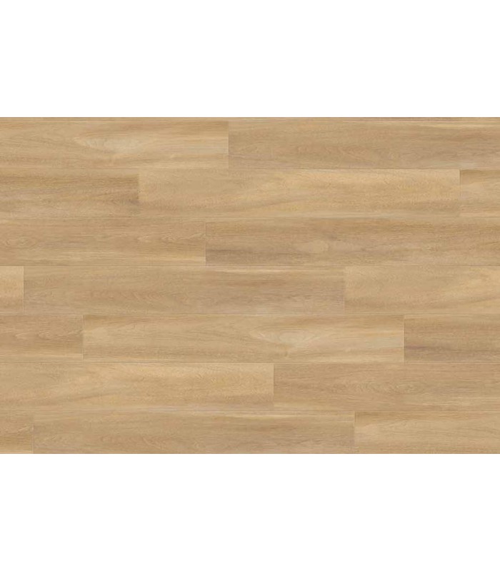 Lame PVC sol Creation 55 à coller - Bostonian Oak Honey - 184 mm x 1219 mm