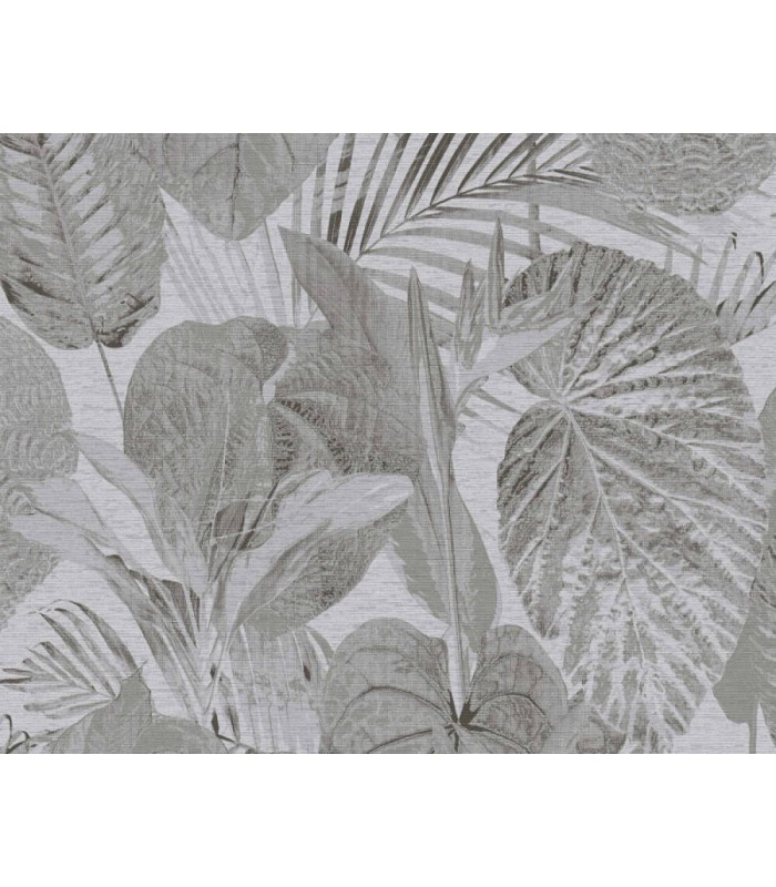 Papier peint As Creation - C93555 - Collection Monteverde - 10,05x0,53cm