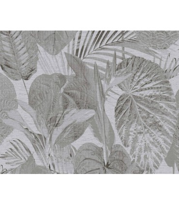 MONTEVERDE - AS CREATION