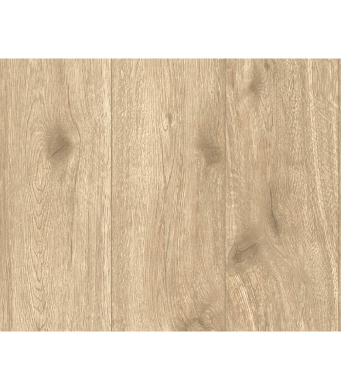 Papier Peint Référence 1960025 - Collection ELEMENTS 2 - AS CREATION