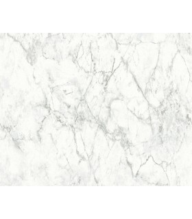 Papier Peint Référence 1960028 - Collection ELEMENTS 2 - AS CREATION