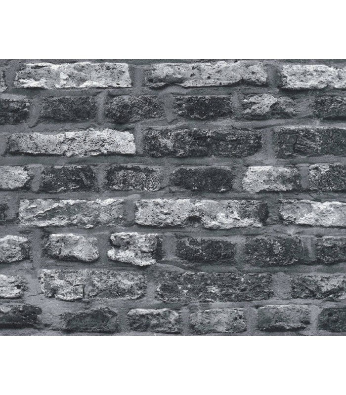 Papier Peint Référence 1960067 - Collection ELEMENTS 2 - AS CREATION