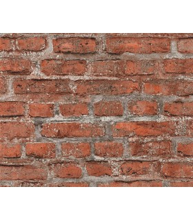 Papier Peint Référence 1960068 - Collection ELEMENTS 2 - AS CREATION