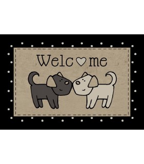 Tapis Intérieur Anti Dérapant et Absorbant Pets 40x60cm