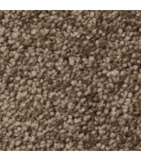 Tapis Intérieur Anti-Poussière Ultra Absorbant Hawaii