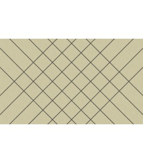 Tapis Intérieur Anti Dérapant et Absorbant Zebra 45x75cm