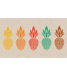 Tapis Intérieur Anti Dérapant et Absorbant Piton 45x75cm