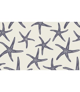 Tapis Intérieur Anti Dérapant et Absorbant Maoke 45x75cm