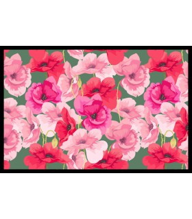 Tapis Intérieur Anti Dérapant et Absorbant Bego 50x75cm