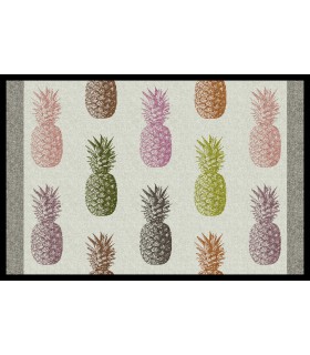 Tapis Intérieur Anti Dérapant et Absorbant Pina 50x75cm