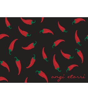 Tapis Intérieur Anti Dérapant et Absorbant Basque Andia 50X80cm