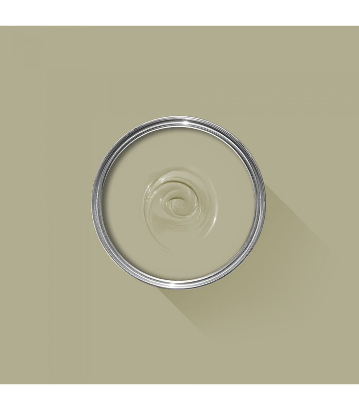 Farrow & Ball Échantillon BALL GREEN 75 - 100ml