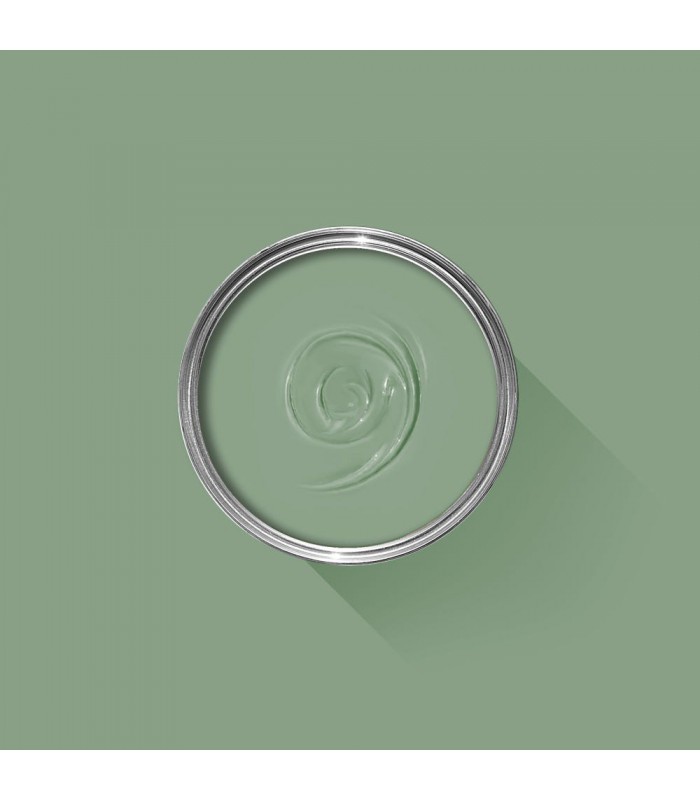 Farrow & Ball Échantillon BREAK. ROOM G. 81 - 100ml