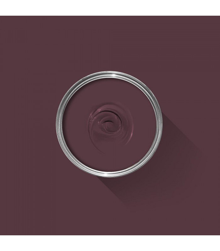 Farrow & Ball Échantillon BRINJAL 222 - 100ml