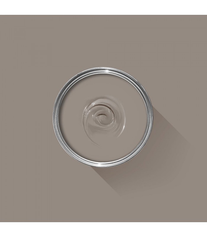 Farrow & Ball Échantillon CHARLESTON GRAY 243 - 100ml