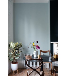 Farrow & Ball Échantillon BORROWED LIGHT 235 - 100ml