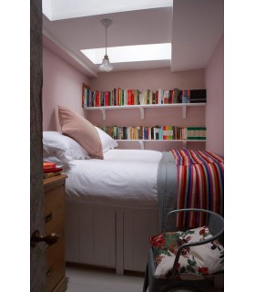 Farrow & Ball Échantillon CALAMINE  230 - 100ml