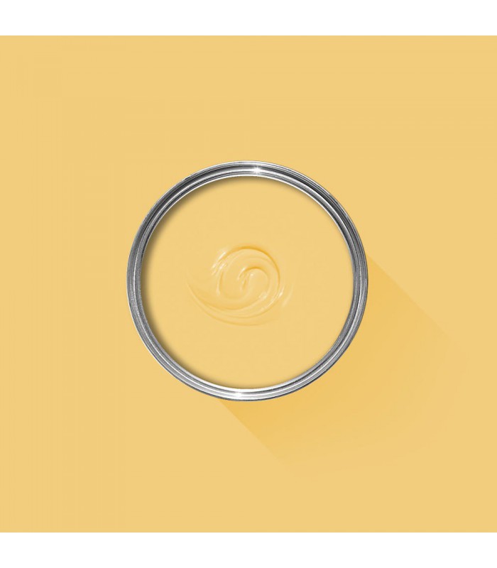 Farrow & Ball Échantillon CITRON 74 - 100ml