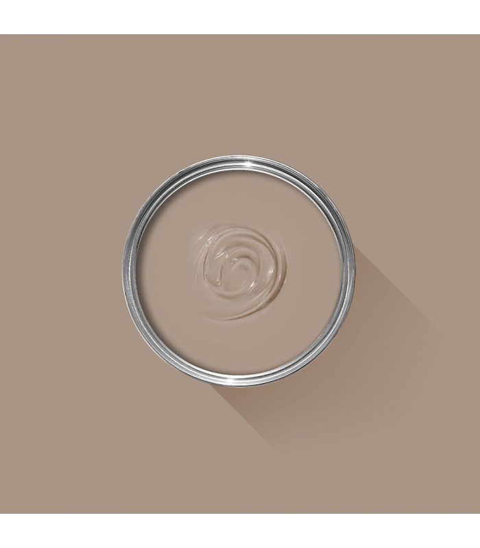 Farrow & Ball Échantillon DEAD SALMON  28 - 100ml