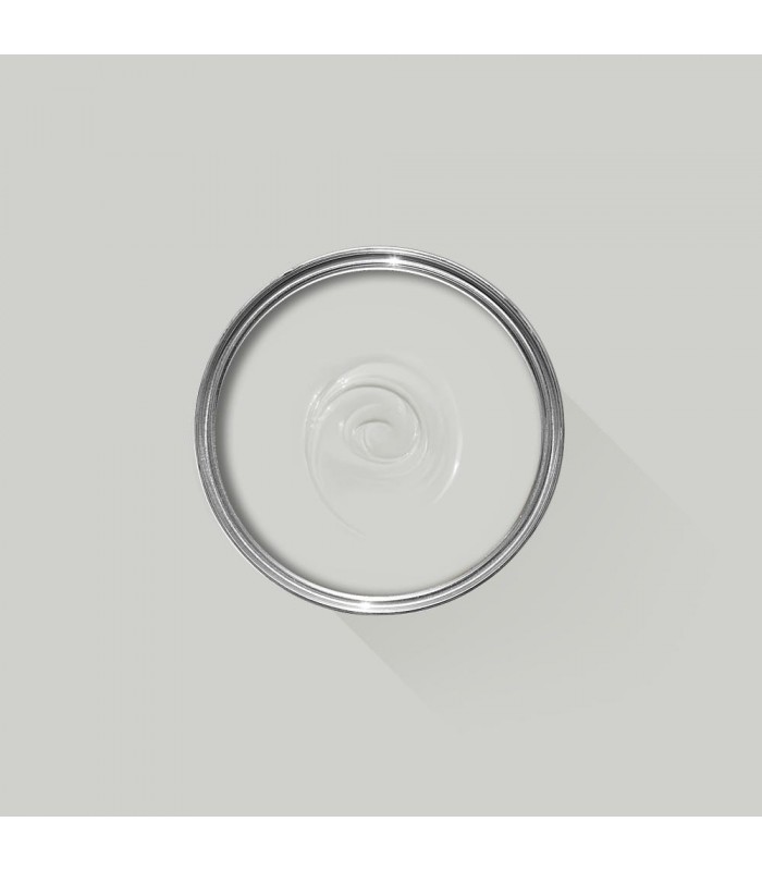 Farrow & Ball Échantillon DIMPSE 277 - 100ml