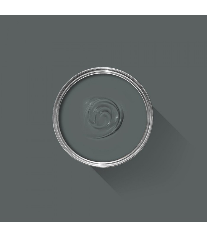 Farrow & Ball Échantillon DOWN PIPE 26 - 100ml