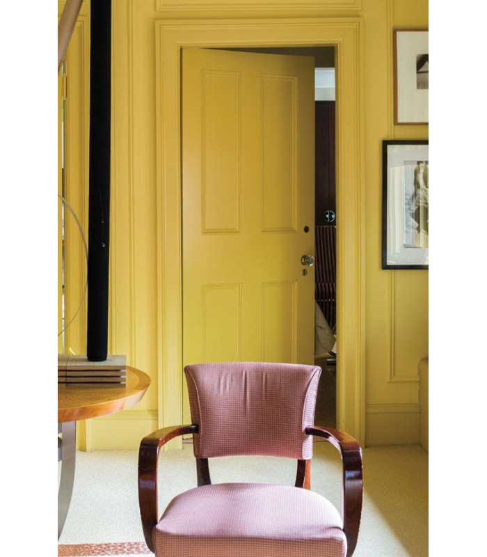 Farrow & Ball Échantillon CITRON 74 - 100ml