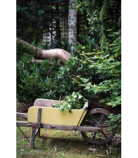 Farrow & Ball Échantillon DAYROOM YELLOW  233 - 100ml