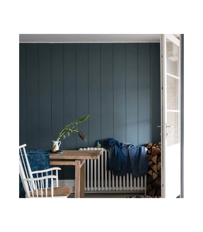 Farrow & Ball Échantillon DE NIMES 299 - 100ml