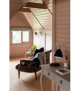 Farrow & Ball Échantillon DEAD SALMON  28 - 100ml