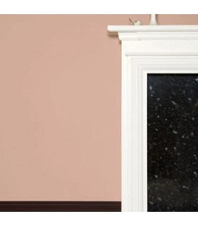 Farrow & Ball Échantillon DEAD SALMON  28 - 100ml