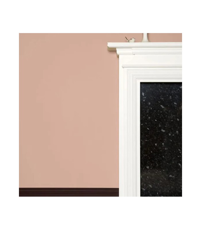 Farrow & Ball Échantillon DEAD SALMON  28 - 100ml