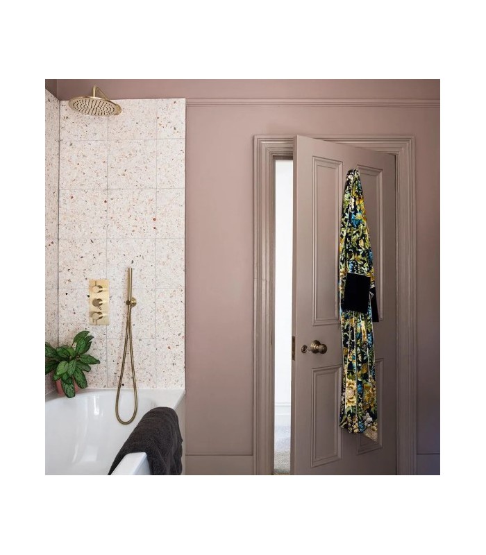 Farrow & Ball Échantillon DEAD SALMON  28 - 100ml