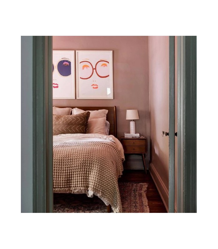 Farrow & Ball Échantillon DEAD SALMON  28 - 100ml