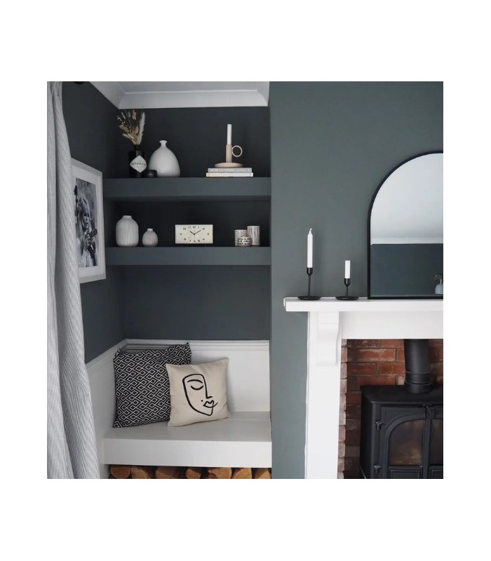 Farrow & Ball Échantillon DOWN PIPE 26 - 100ml