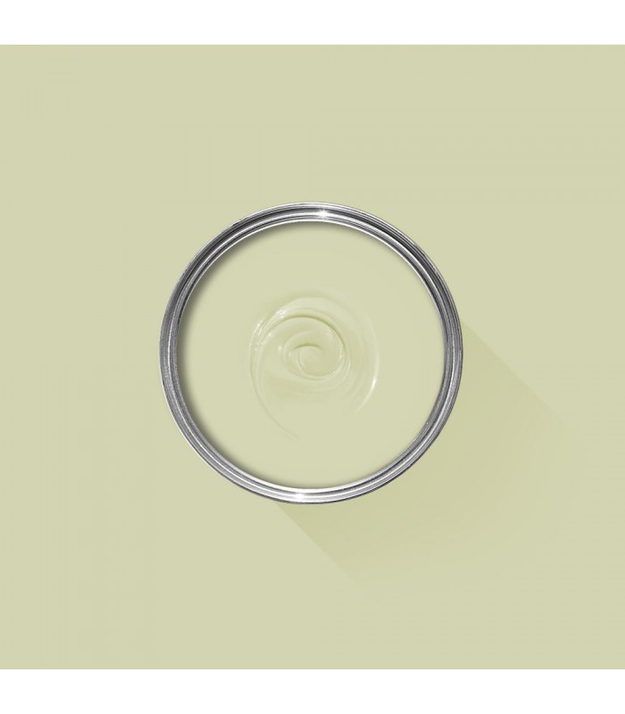 Farrow & Ball Échantillon GREEN GROUND 206 - 100ml