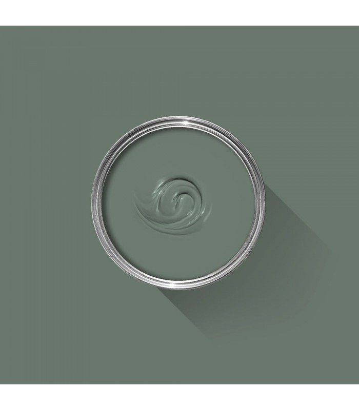 Farrow & Ball Échantillon GREEN SMOKE 47 - 100ml