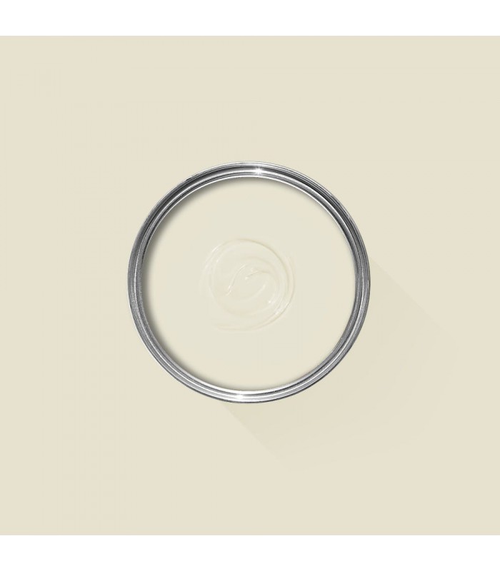 Farrow & Ball Échantillon JAMES WHITE 2010 - 100ml