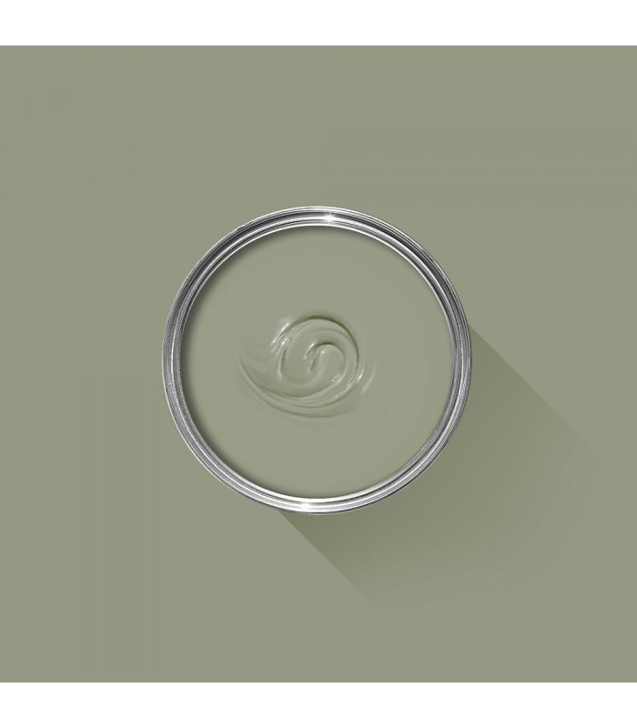 Farrow & Ball Échantillon LICHEN  19 - 100ml