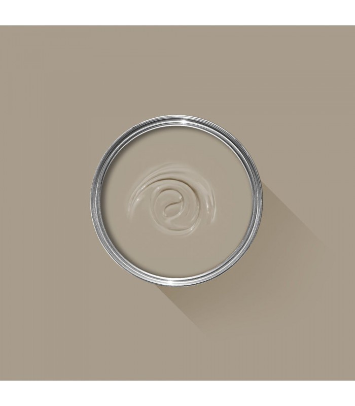 Farrow & Ball Échantillon LIGHT GRAY 17 - 100ml