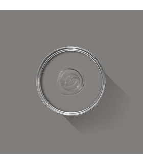 Farrow & Ball Échantillon MOLE S BREATH   276 - 100ml