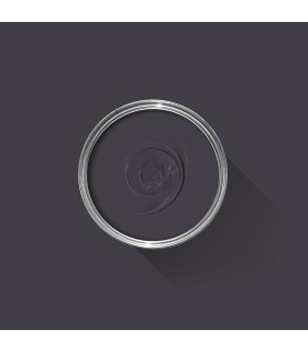 Farrow & Ball Échantillon PAEAN BLACK 294 - 100ml