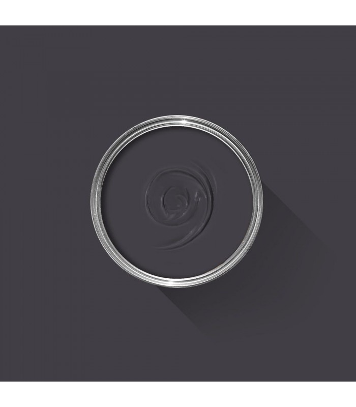 Farrow & Ball Échantillon PAEAN BLACK 294 - 100ml