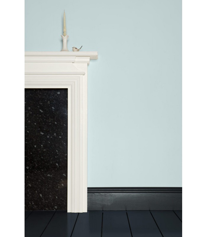 Farrow & Ball Échantillon PARMA GRAY 27 - 100ml