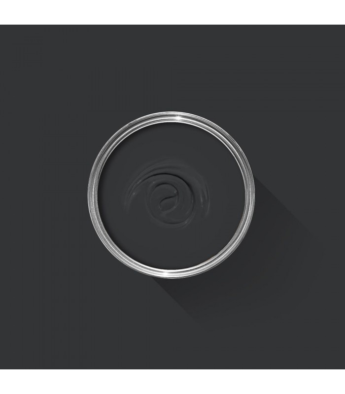 Farrow & Ball Échantillon PITCH BLACK 256 - 100ml