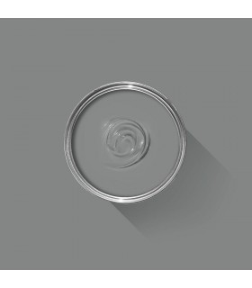 Farrow & Ball Échantillon PLUMMETT 272 - 100ml