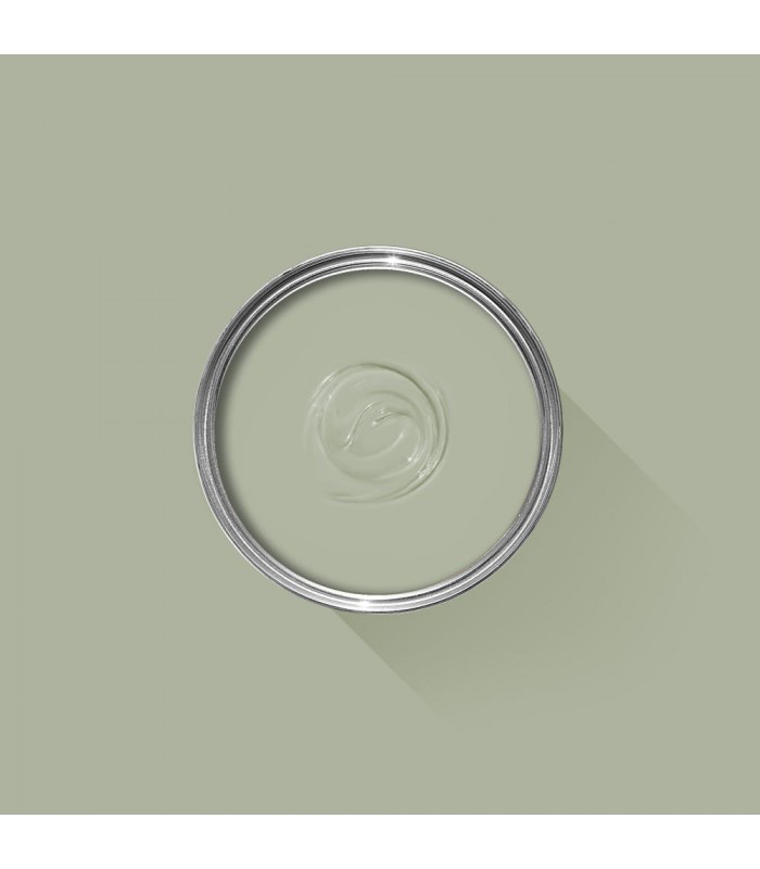 Farrow & Ball Échantillon VERT DE TERRE   234 - 100ml