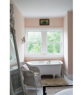 Farrow & Ball Échantillon PINK GROUND 202 - 100ml