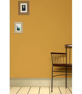 Farrow & Ball Échantillon SUDBURY YELLOW   51 - 100ml
